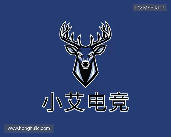 关于小艾电竞